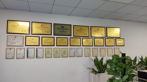 LED球場燈在籃球館的應用及行業展覽服務 關鍵干貨解讀